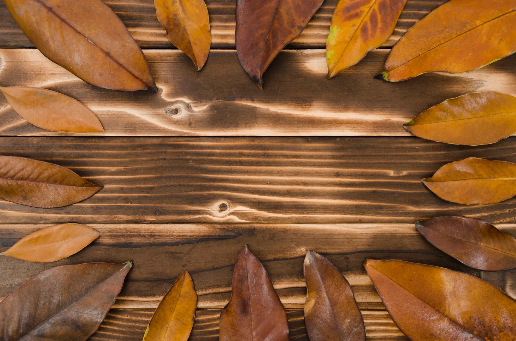 Category Banner