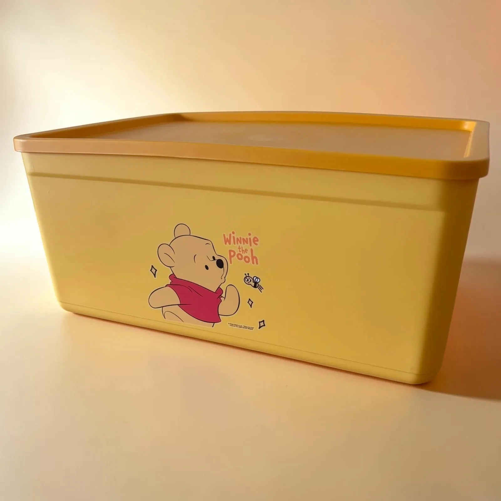 Kids Cartoon Storage Box with Lid - Medium 3
